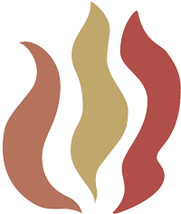 SEA - Découverte Présentiel Erm